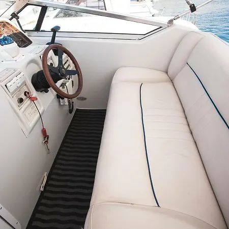 船屋 Crownline Boat *