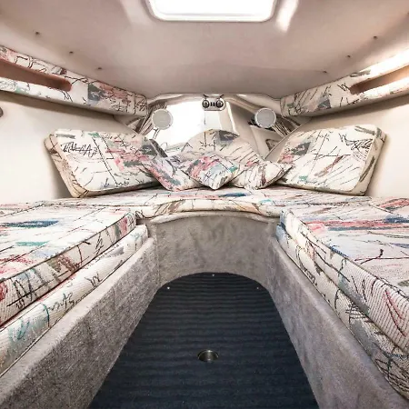 Crownline Boat 船屋 阿雷西费