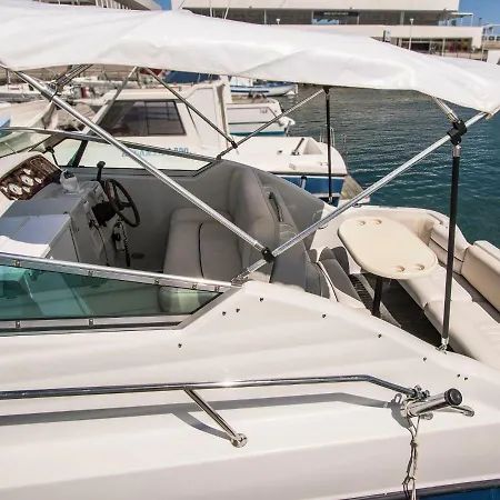 船屋 Crownline Boat *
